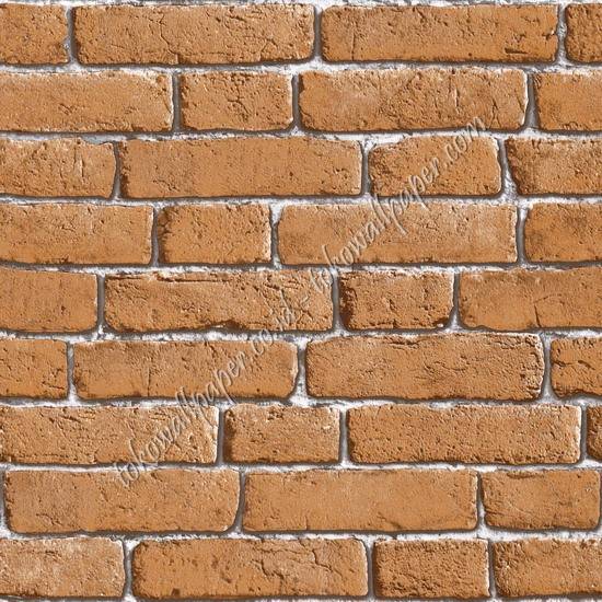 TERRA TRA666
Wallpaper